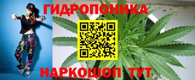 mdma Гатчина