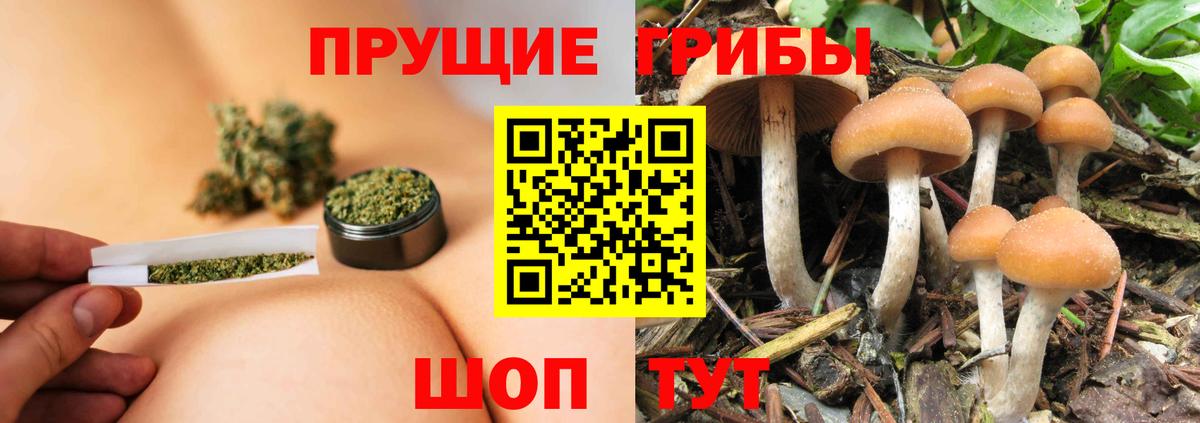 Псилоцибиновые грибы ЛСД Муравленко